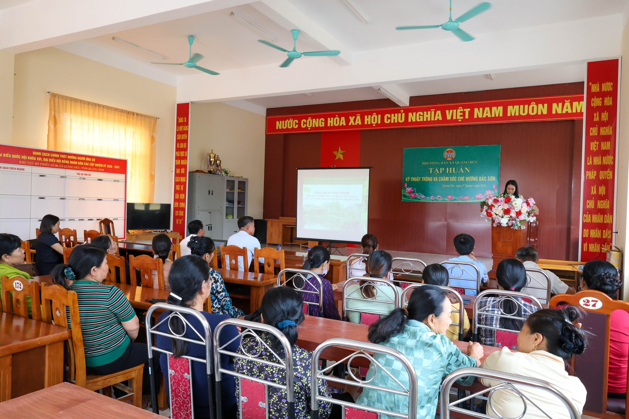 Tập huấn trồng chè Hương Bắc Sơn